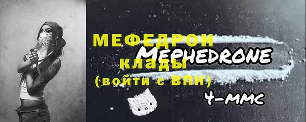 spice Богородск