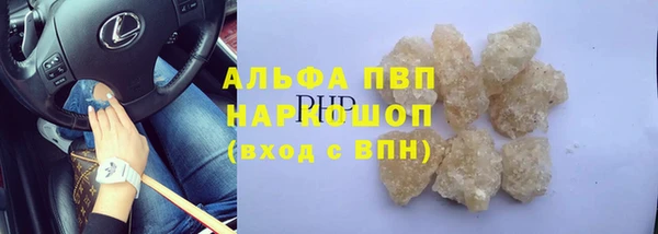 амф Богданович