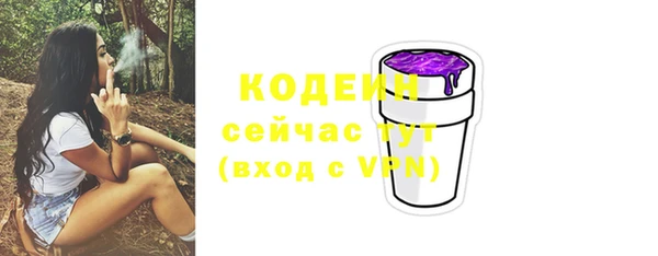 spice Богородск