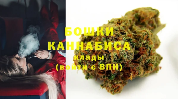 амф Богданович