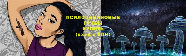 spice Богородск