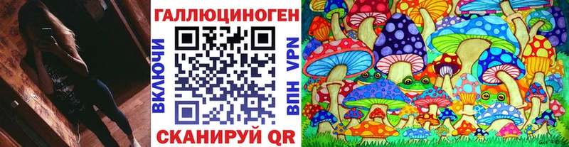 закладки  Наволоки  Галлюциногенные грибы Psilocybe 